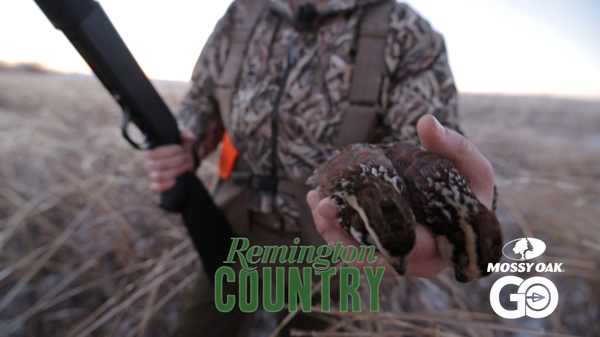 Remington on the Wing • Remington Country