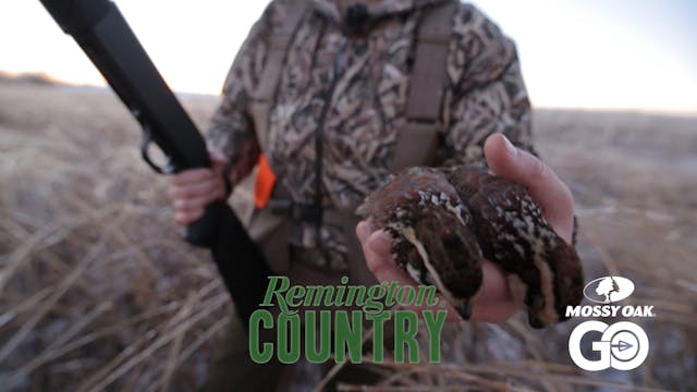 Remington on the Wing • Remington Cou...