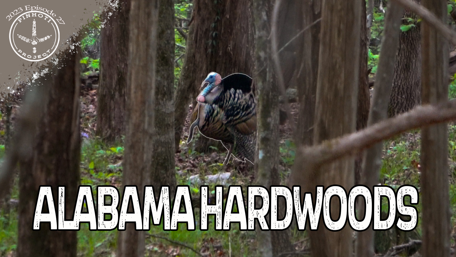 Pinhoti 2023 Ep 27 • Pinhoti Project