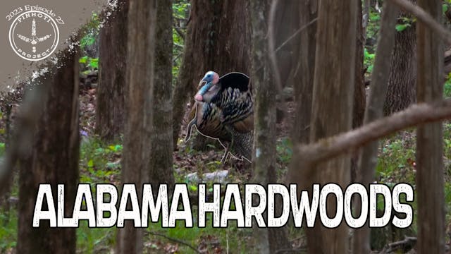 Pinhoti 2023 Ep 27 • Pinhoti Project