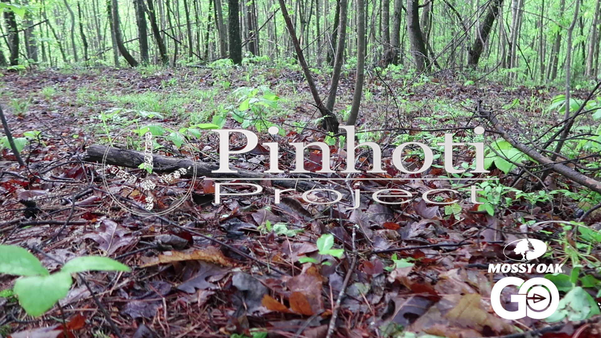 Foggy Morning Hunt • Keeping Tabs On An Old Friend • Pinhoti Project Day 52