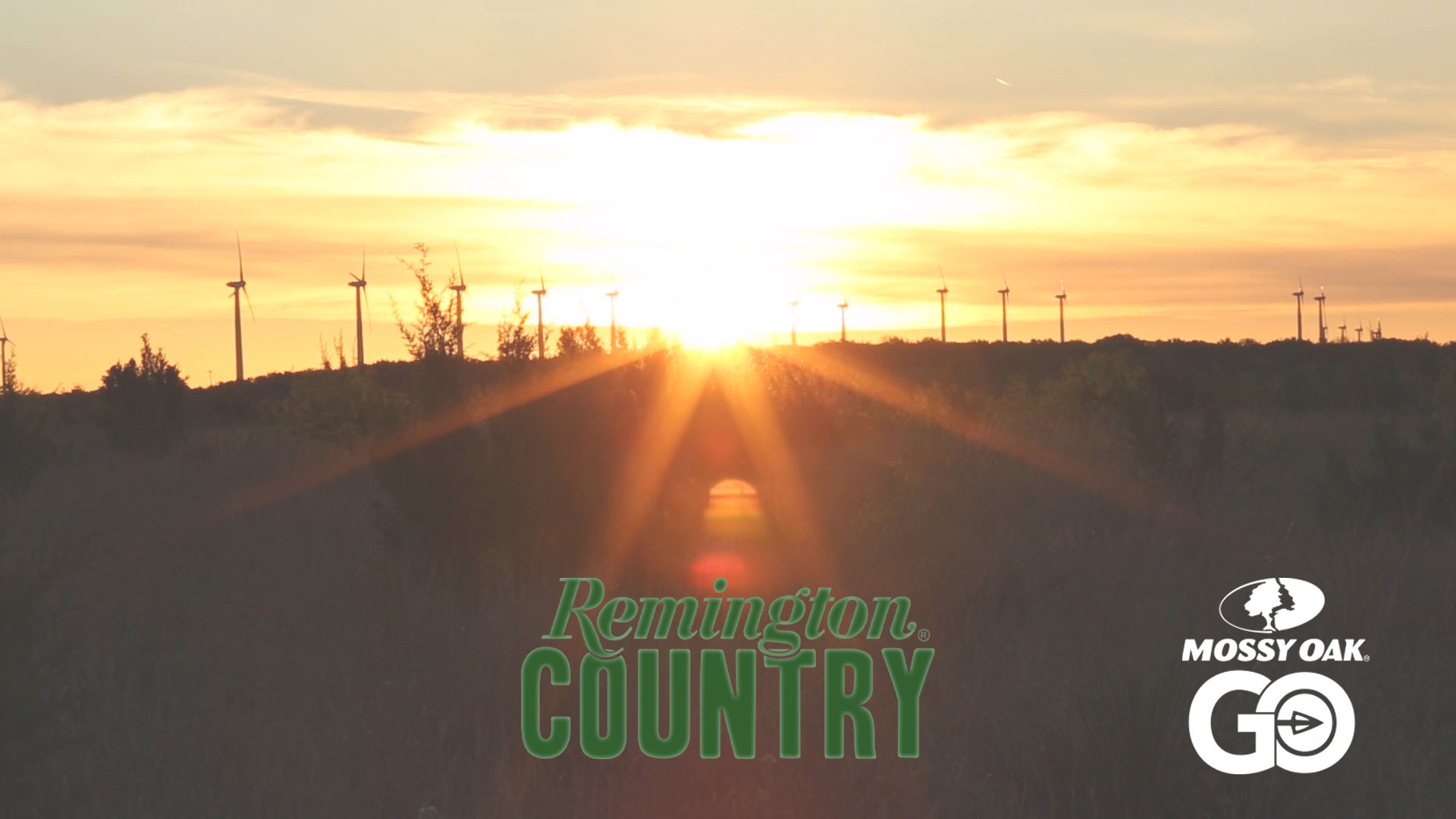 LA Hogs & TX Turkeys • Remington Country