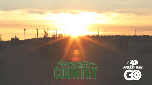 LA Hogs & TX Turkeys • Remington Country