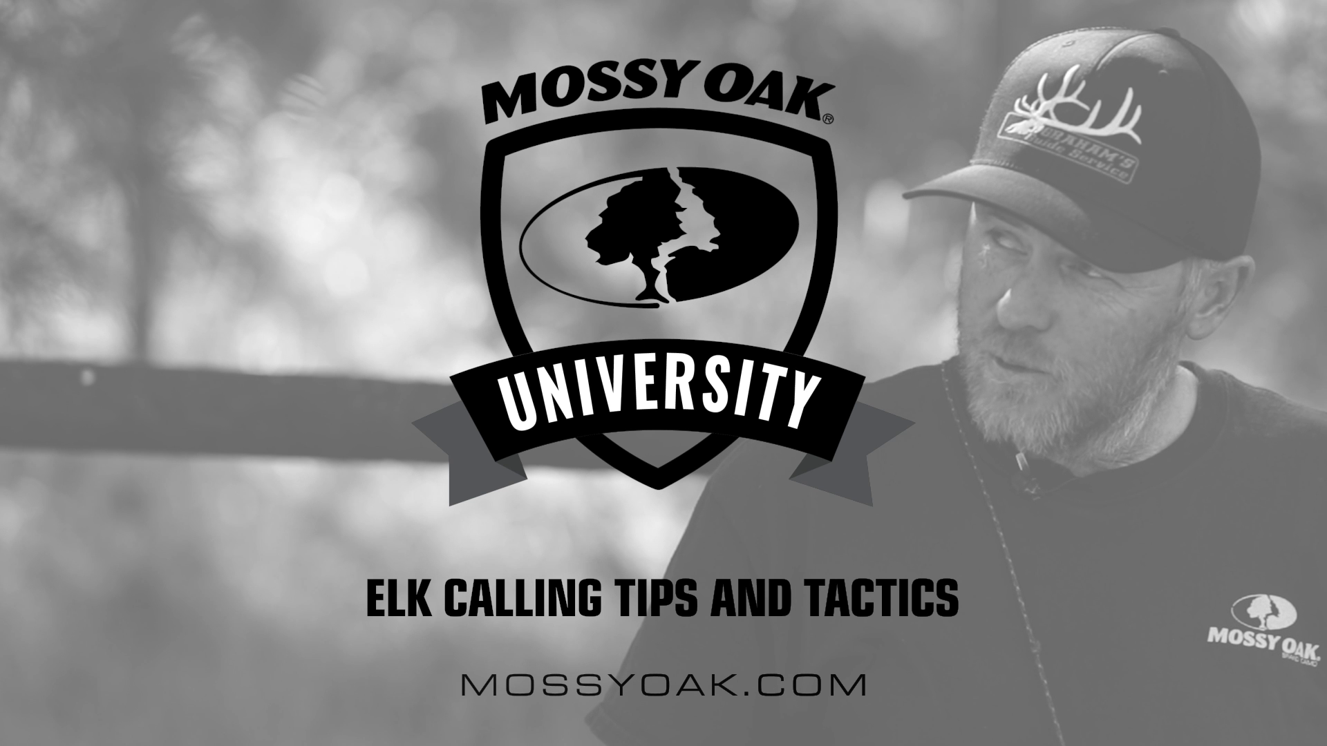 Elk Hunting Tips and Tactics