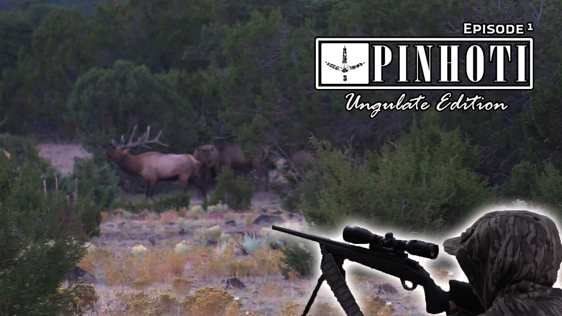 Ungulate Edition Ep1 • Pinhoti Project