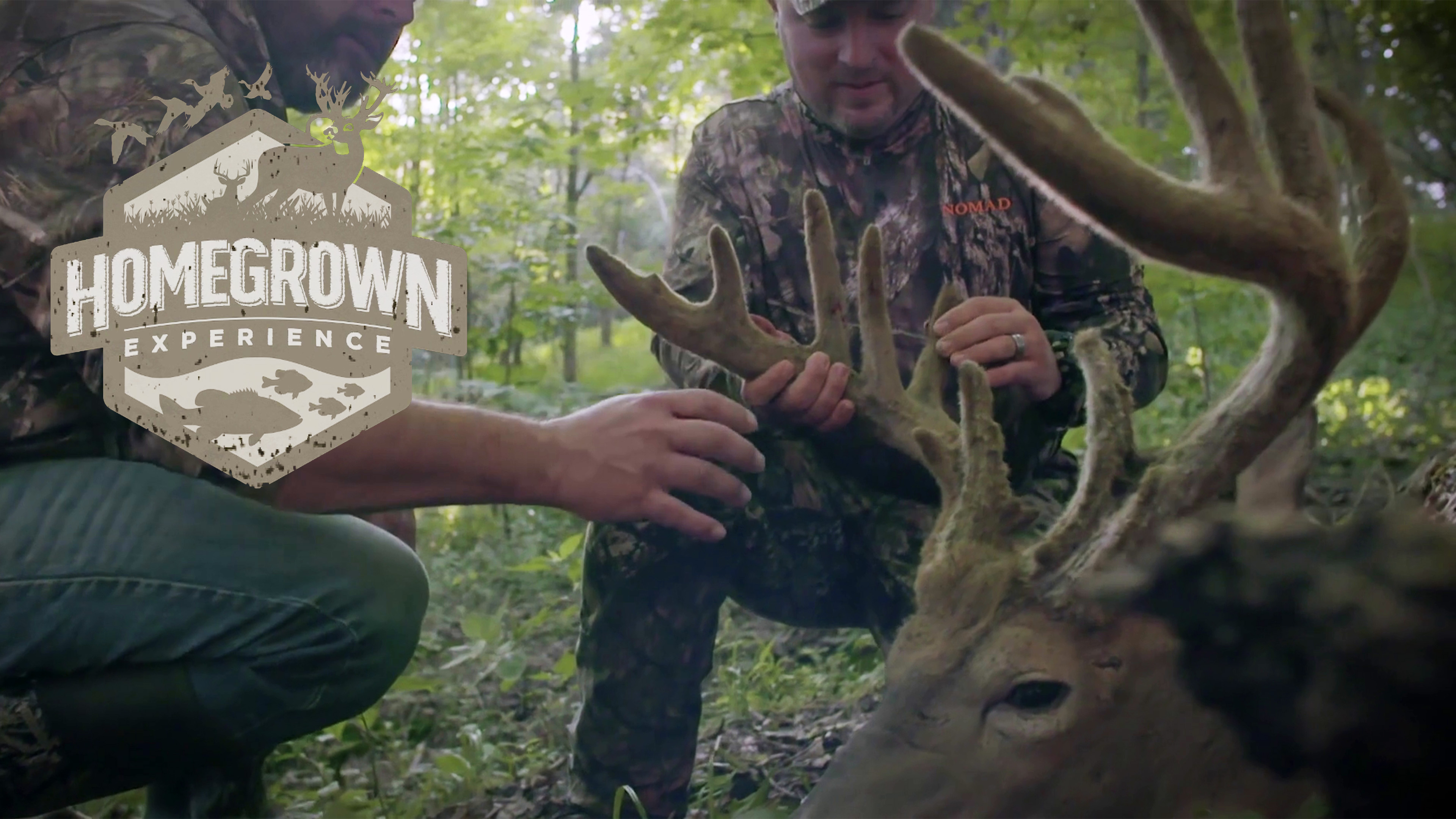 Homegrown Experience