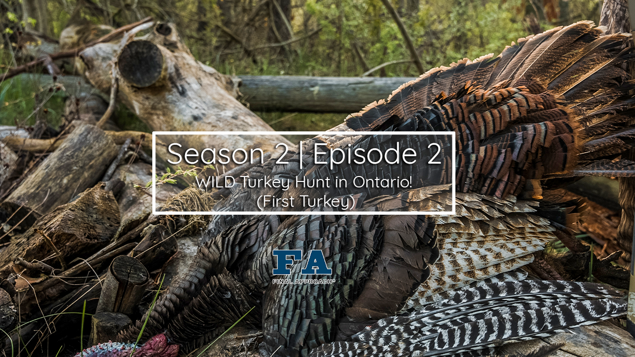 The Last Strut Episode 2 • Wild Turkey Hunt In Ontario! (First Turkey)