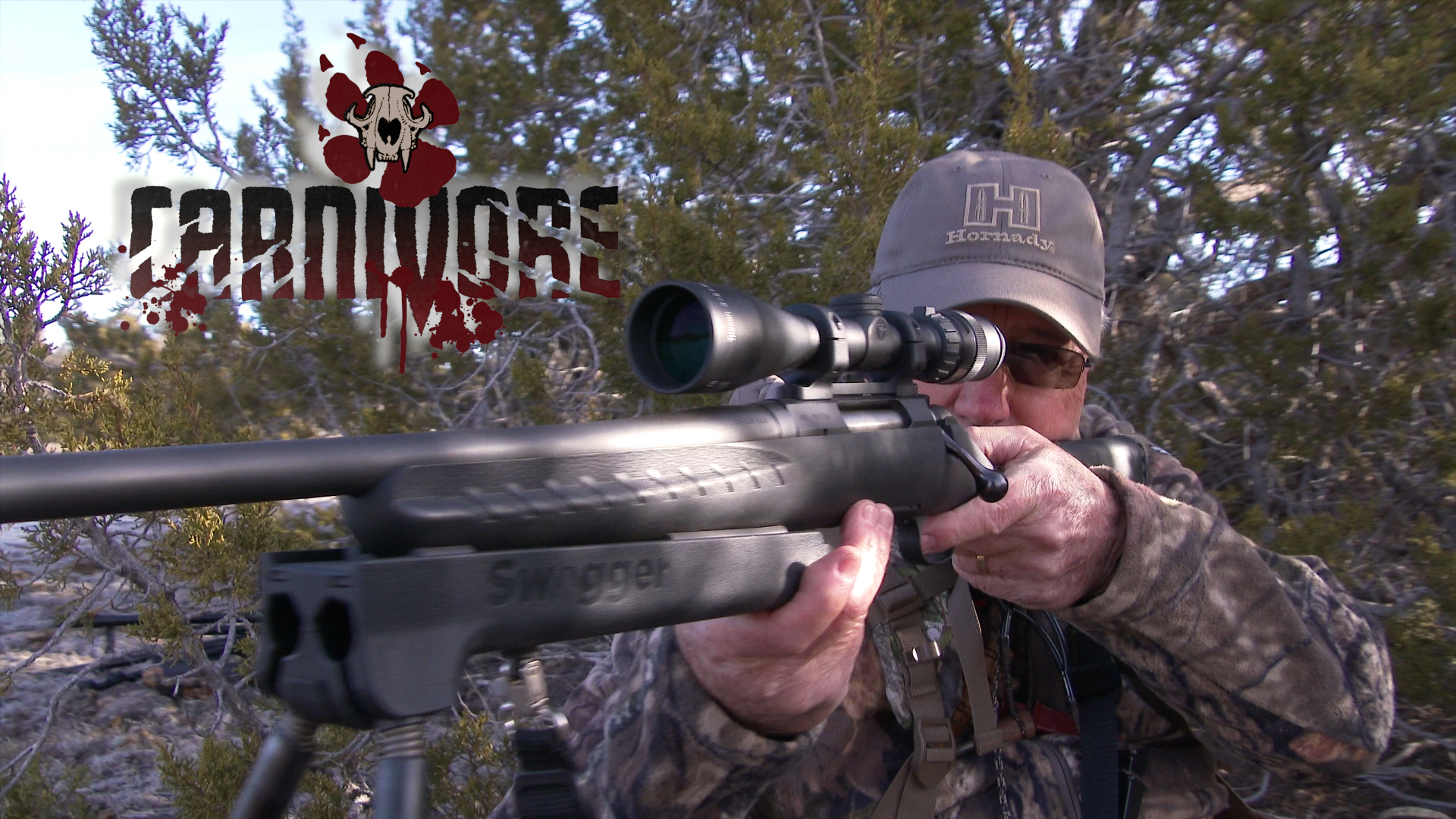 Arizona Coyotes • Carnivore