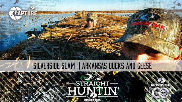 Silverside Slam • Arkansas Ducks And Geese • Straight Huntin'