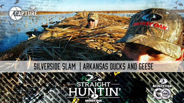 Silverside Slam • Arkansas Ducks And ...