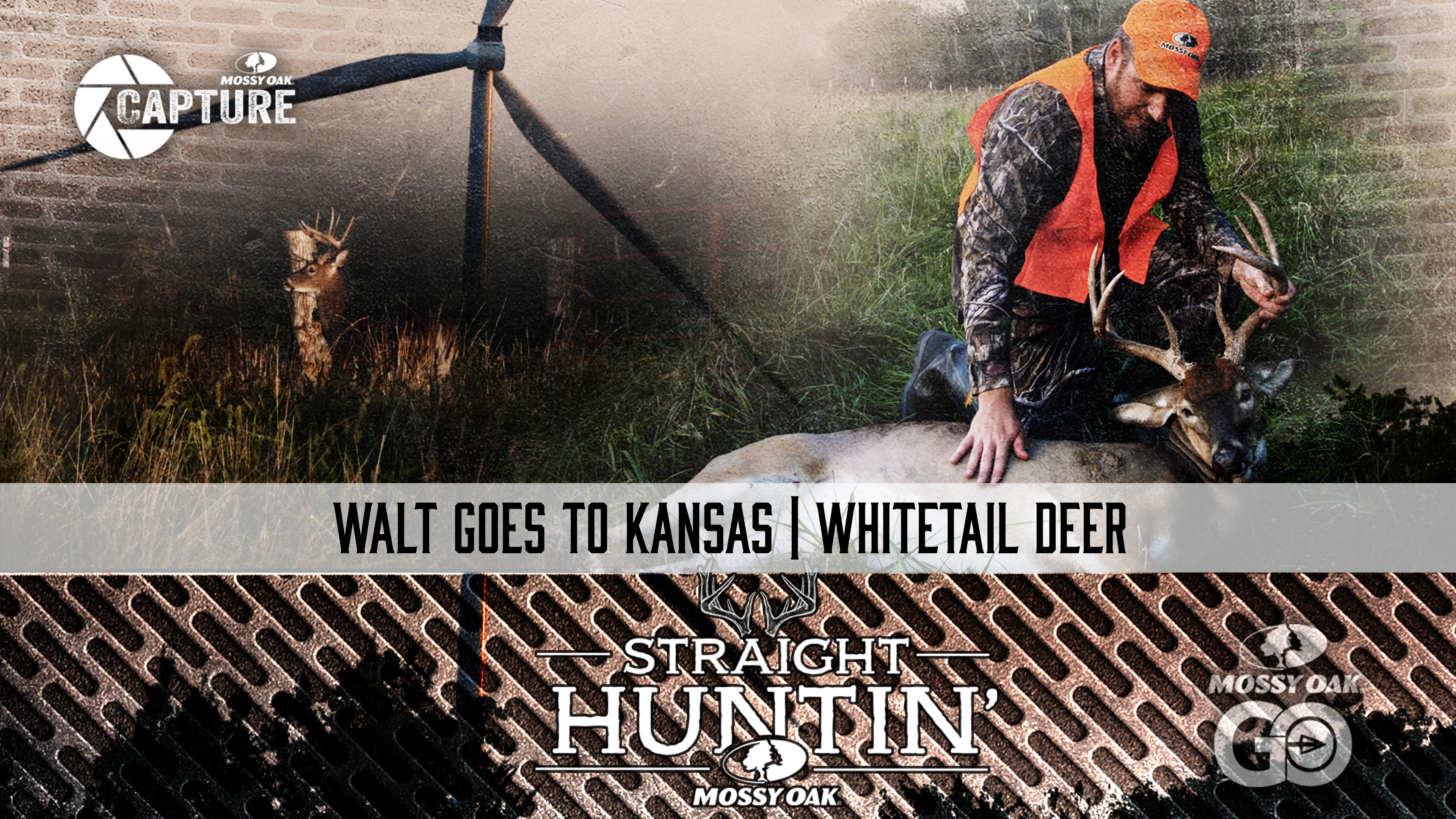 Walt Goes To Kansas • Straight Huntin'