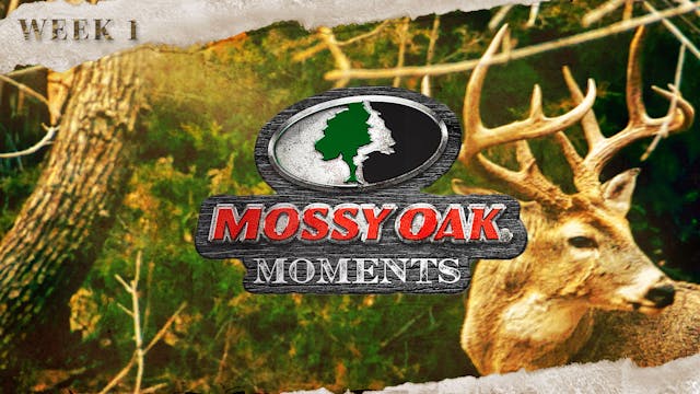 Live: 10.20.2021 • Mossy Oak Moments ...