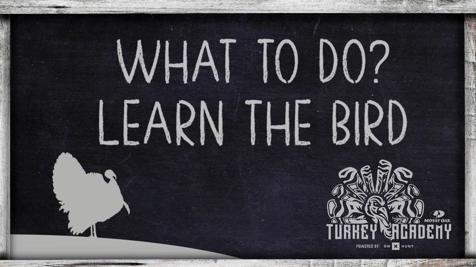 OnX Turkey Academy • Lesson 20 | Learn The Bird - What To Do