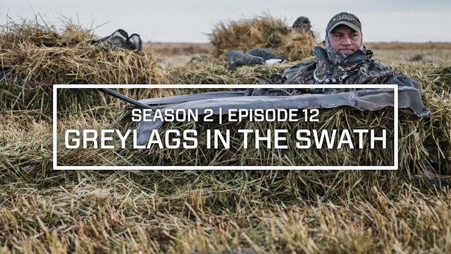 Last Pass Episode 12 • Greylags in the Swath