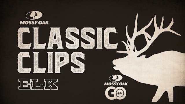 Classic Clips Elk
