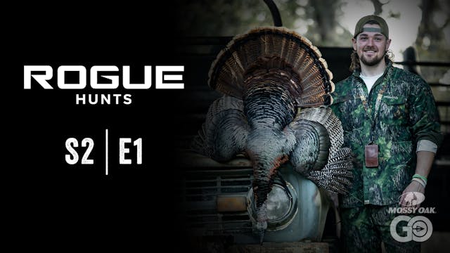 Rogue Hunts • S2 Ep1• FL