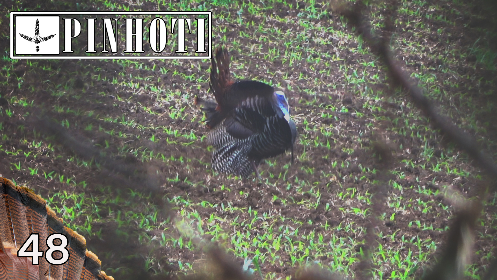 Pinhoti 2021 Ep 48 • Pinhoti Project