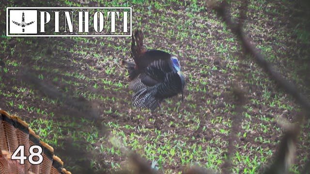 Pinhoti 2021 Ep 48 • Pinhoti Project