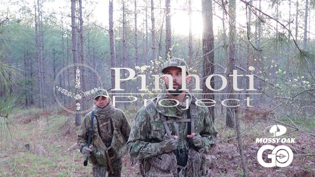 Straight From The Limb Gobbler • Pinh...