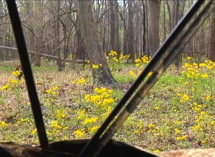 A Friendly Rivalry • Kids and Turkeys in Mississippi