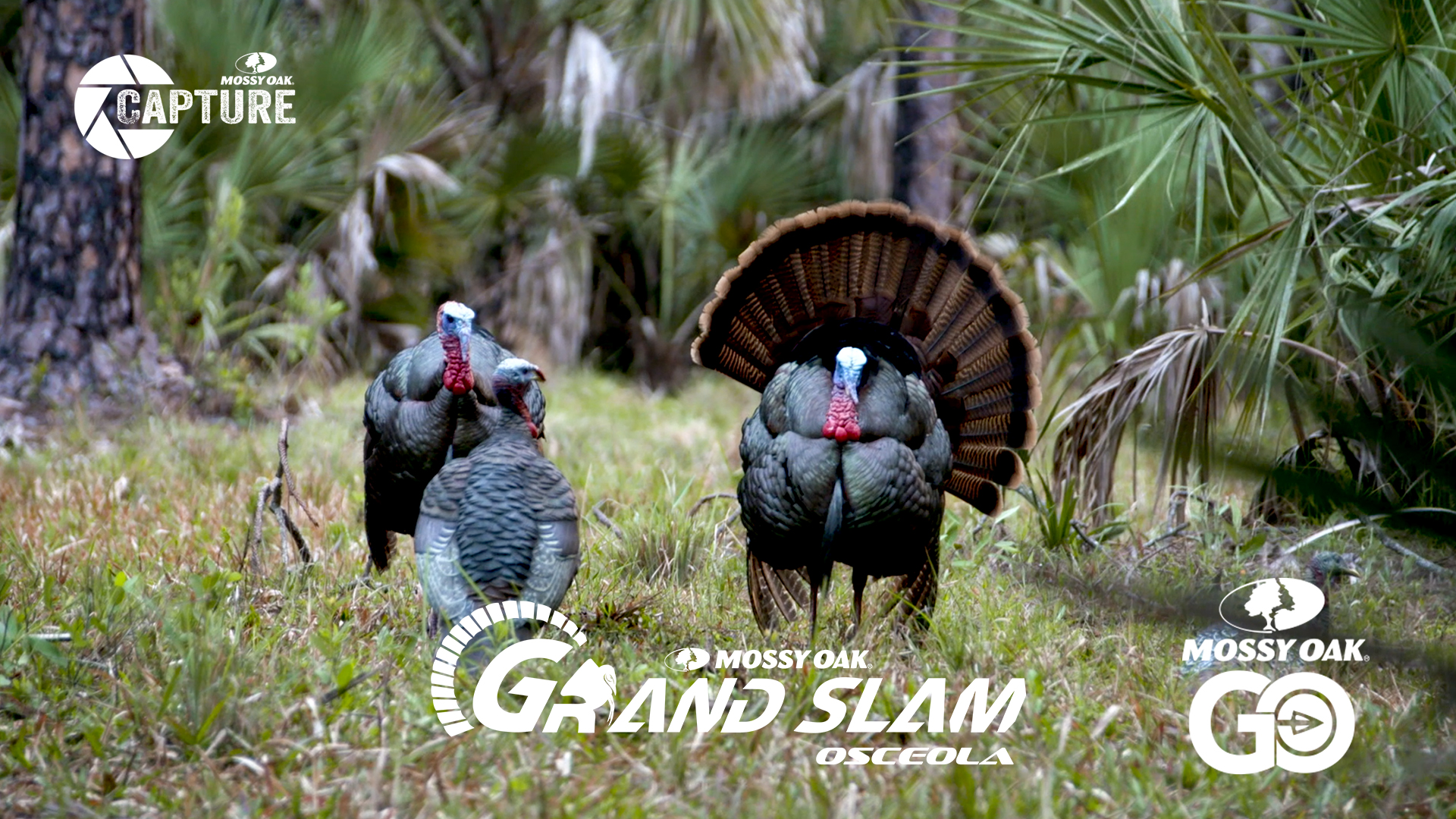 Grand Slam • Episode 2 • Osceola