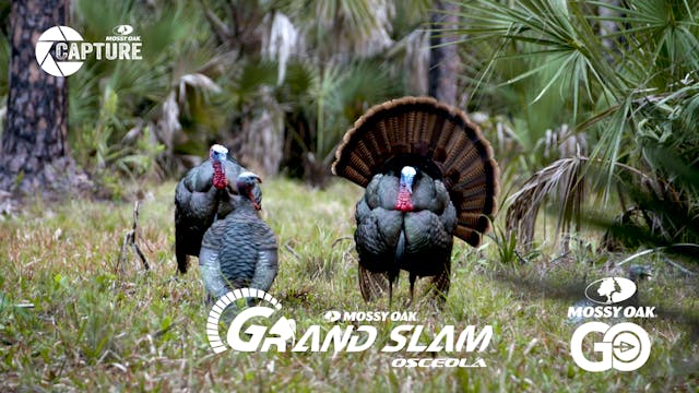 Grand Slam • Episode 2 • Osceola