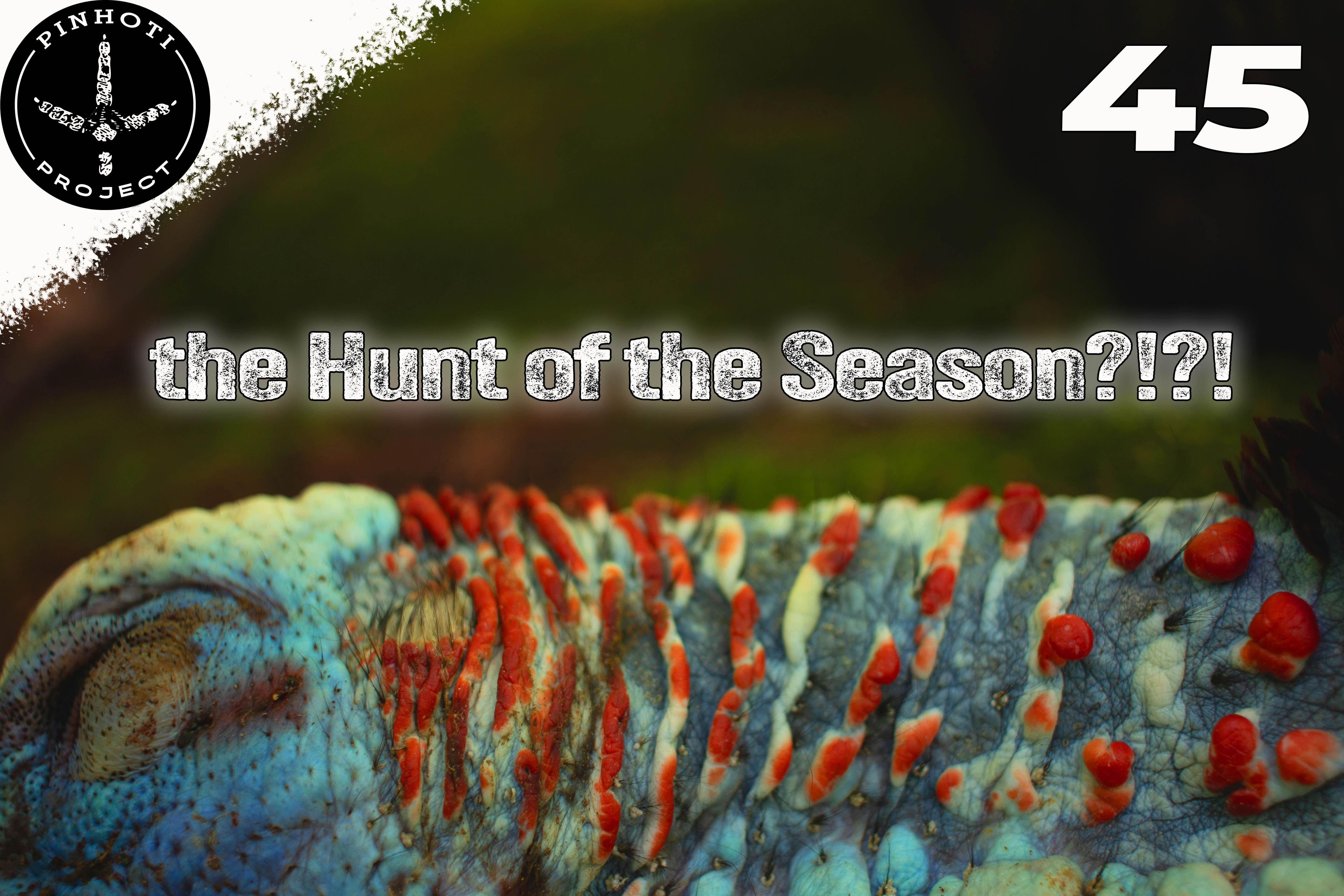 Pinhoti 2024 Ep 45 • Pinhoti Project