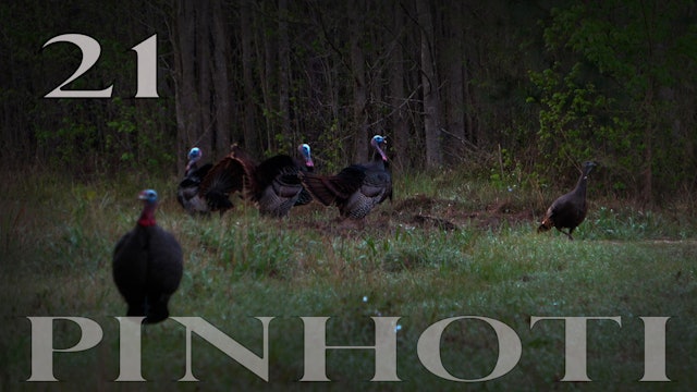 Pinhoti 2022 Ep 21 • Pinhoti Project