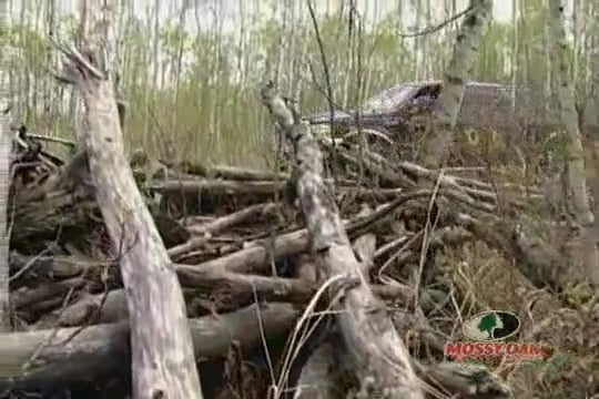 Don’t Guide the Guide • Bear Hunting in Canada