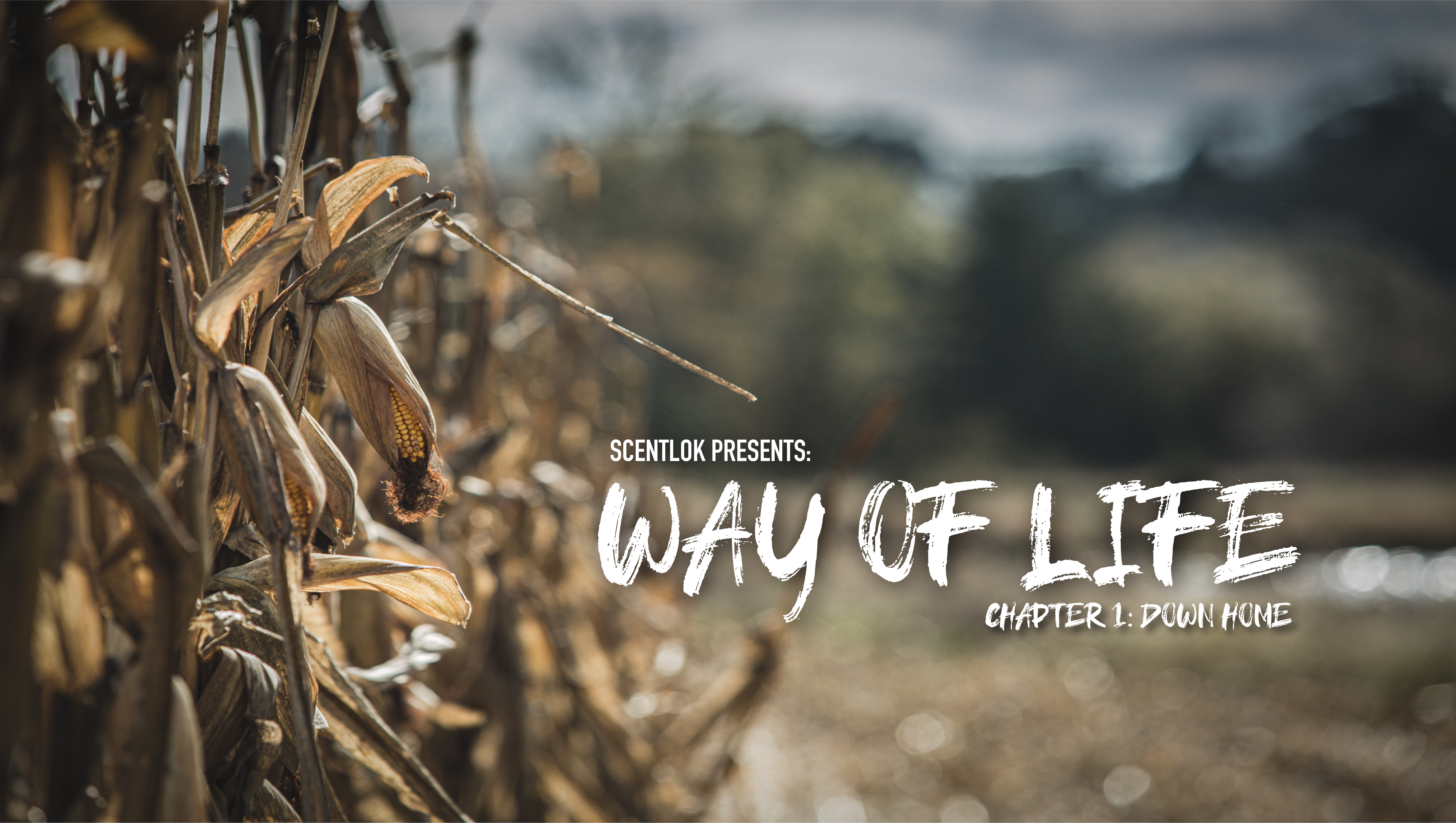 Down Home • A Way Of Life