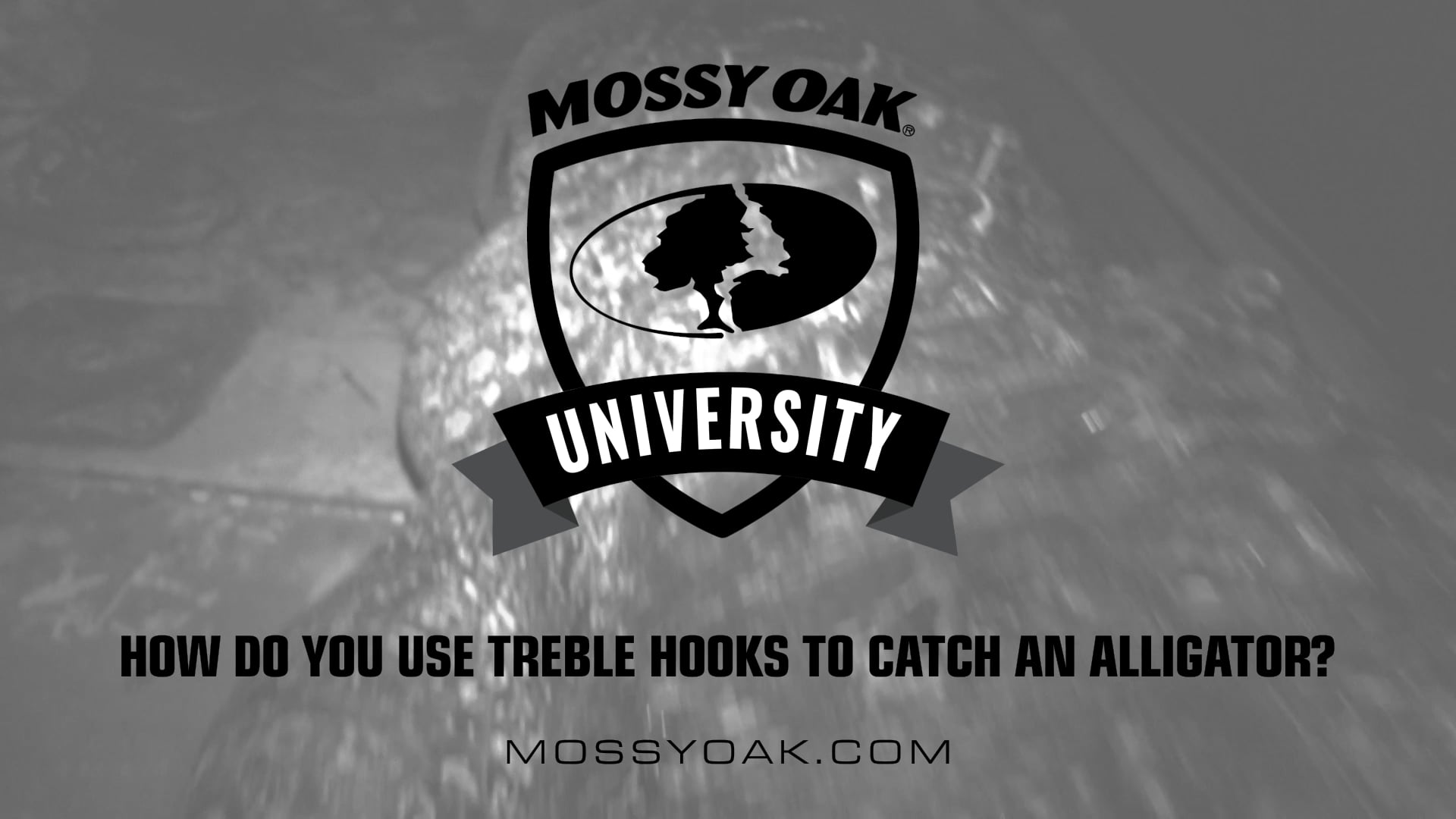 How to Use Treble Hooks to Catch An Alligator • Mossy Oak University