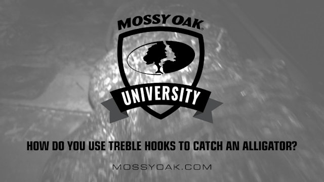 How to Use Treble Hooks to Catch An Alligator • Mossy Oak