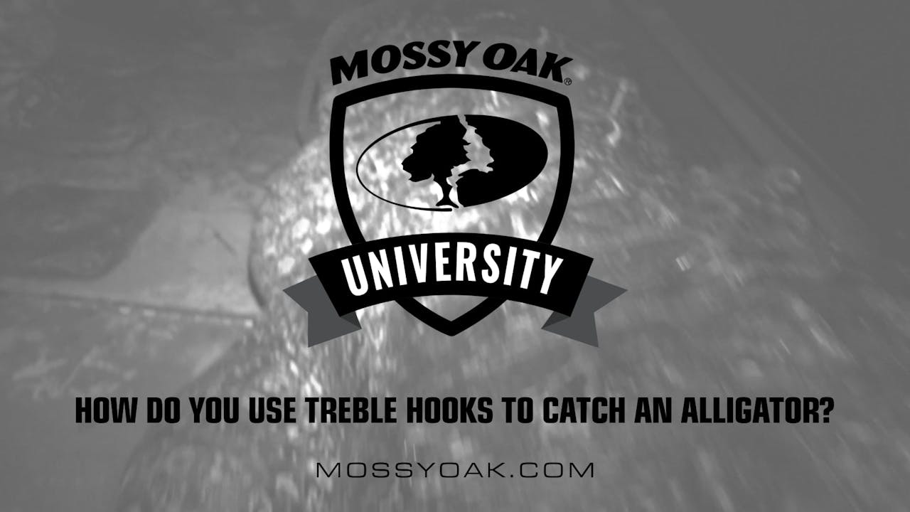 How to Use Treble Hooks to Catch An Alligator • Mossy Oak University