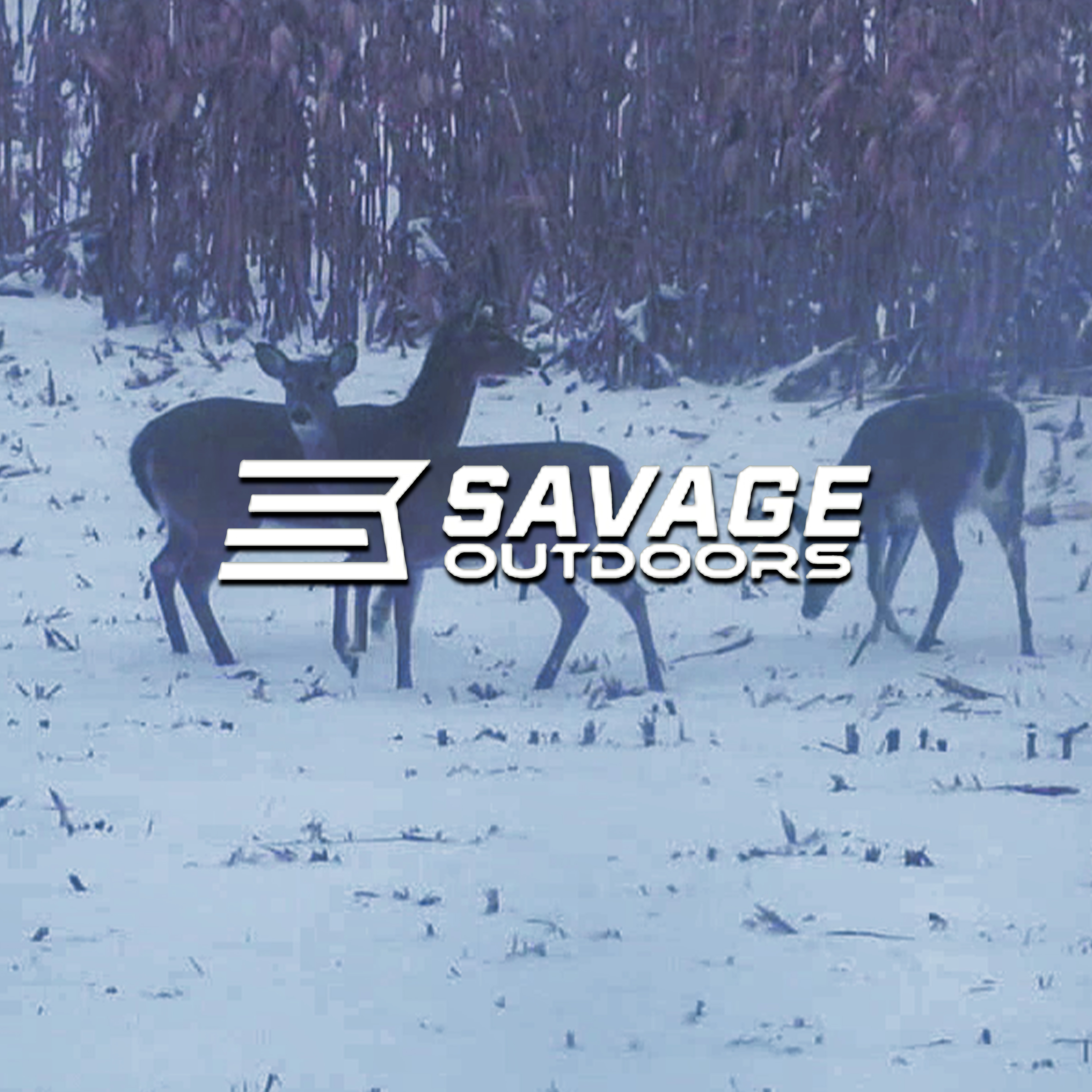Dream • Savage Outdoors
