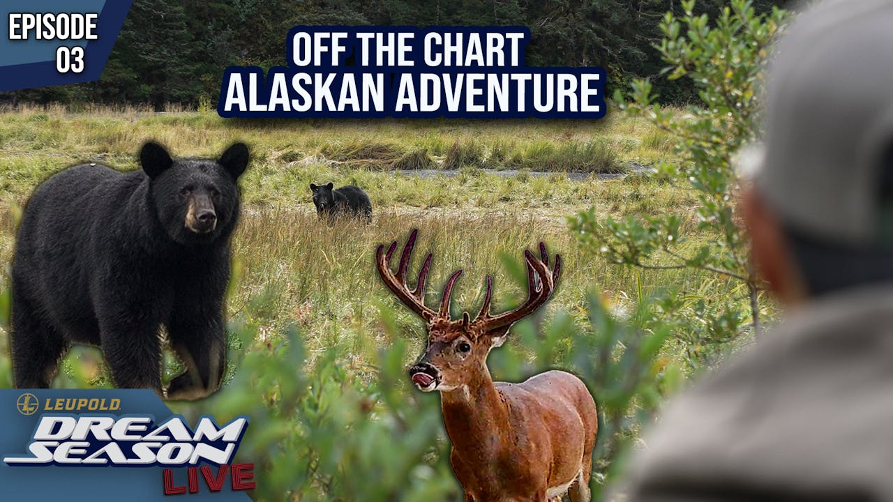 Alaskan Black Bear Hunt, Bucks On The New Permission Farms • Dream