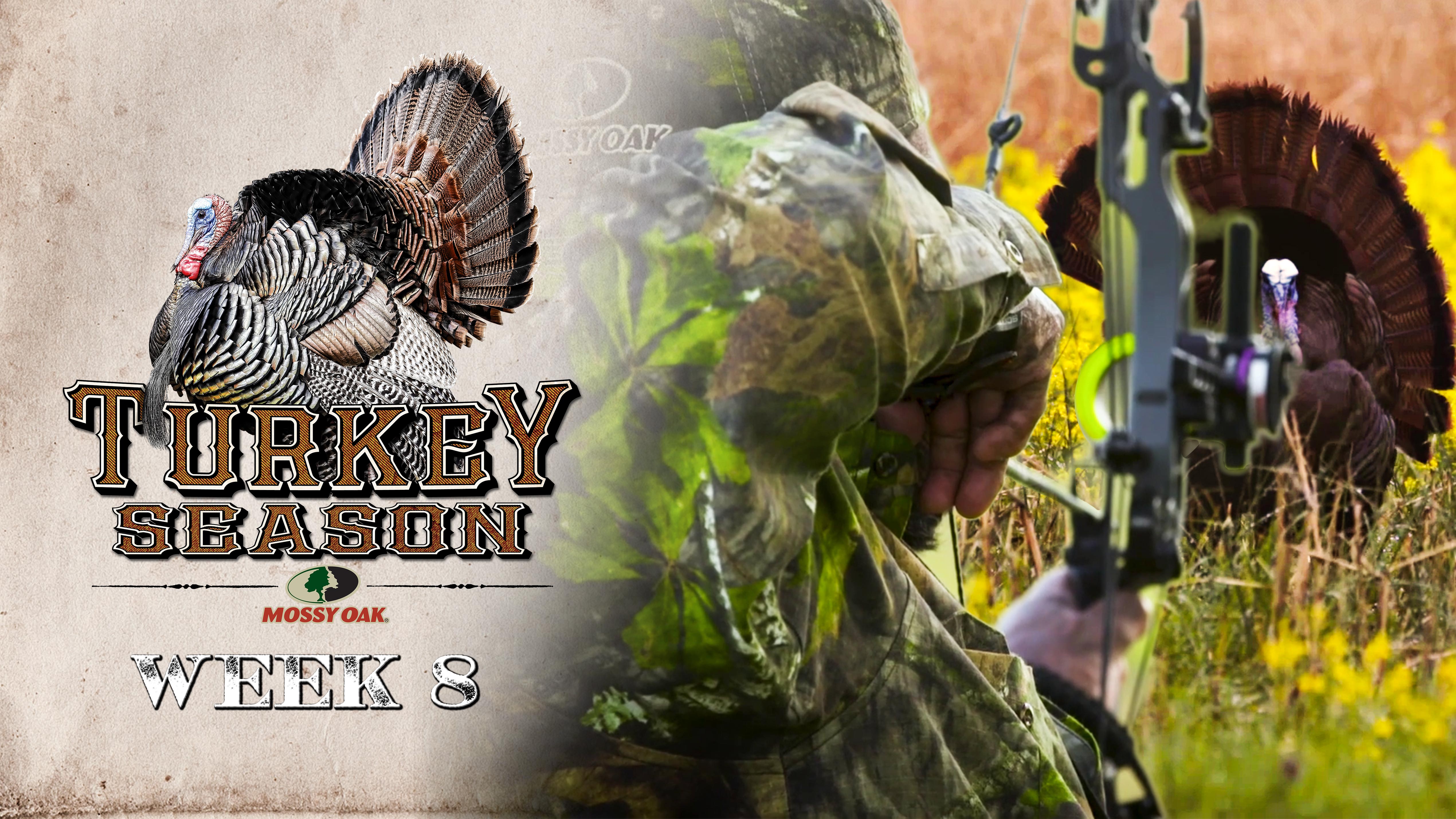 Live: 5.3.2021 Turkey Season Replay
