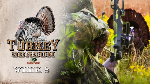 Live: 5.3.2021 Turkey Season Replay