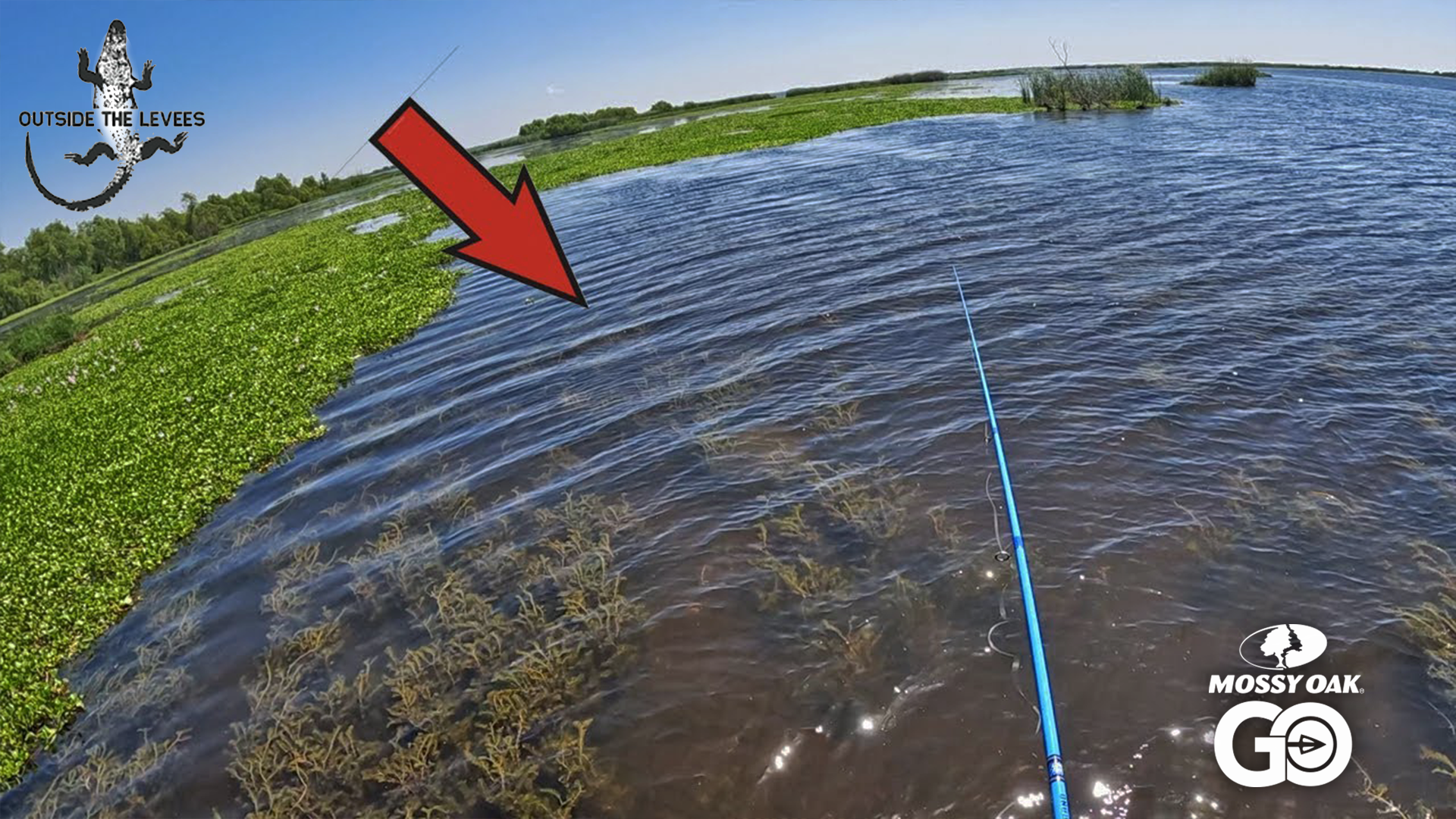 This is Why You Fish Grass Beds in Clear Water • Outside the Levees