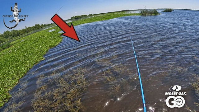This is Why You Fish Grass Beds in Clear Water • Outside the Levees
