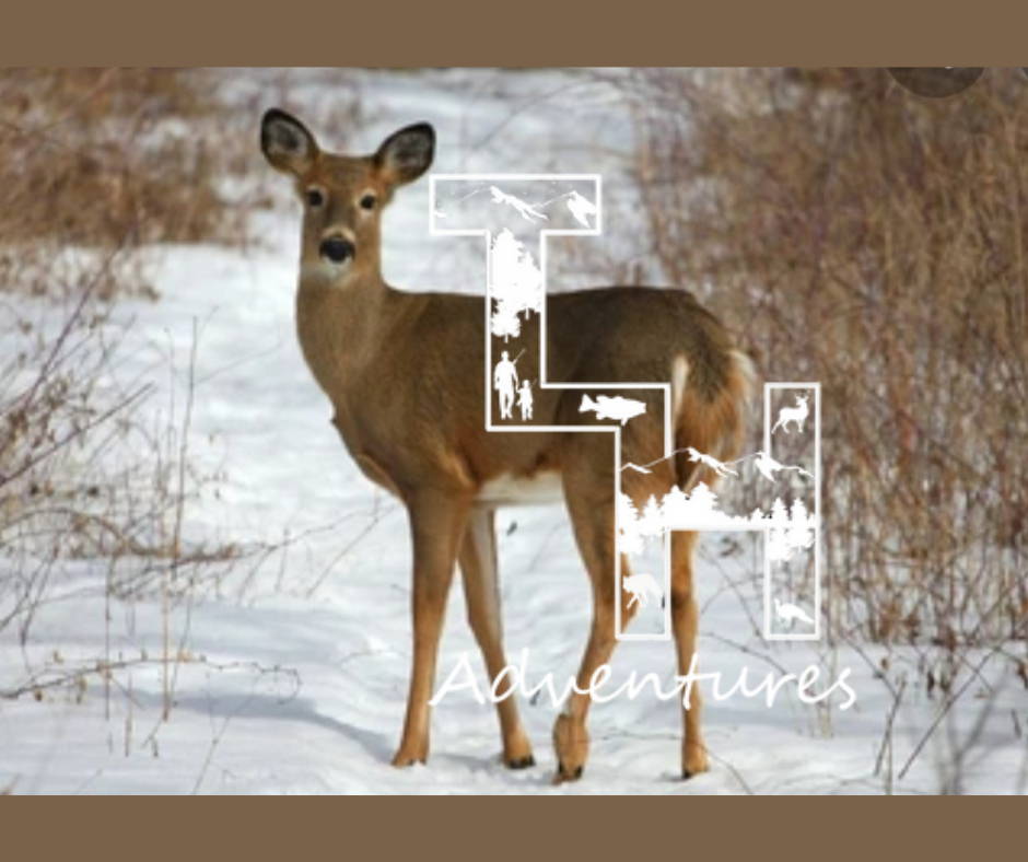 Bitter Sweet!  • True Life Hunting Adventures