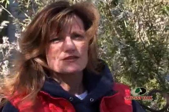 Dream a Little Dream • Catch-A-Dream ...