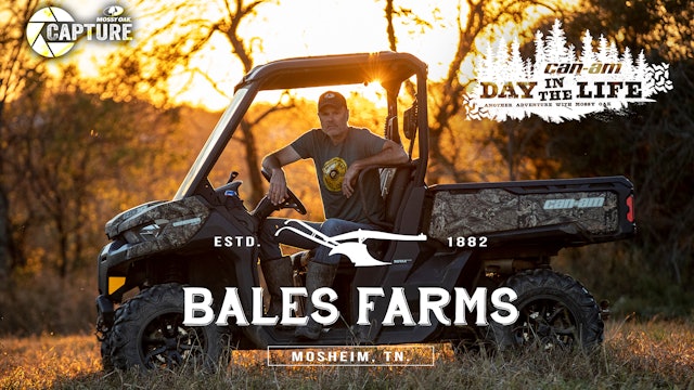 Barry Bales • Day in the Life