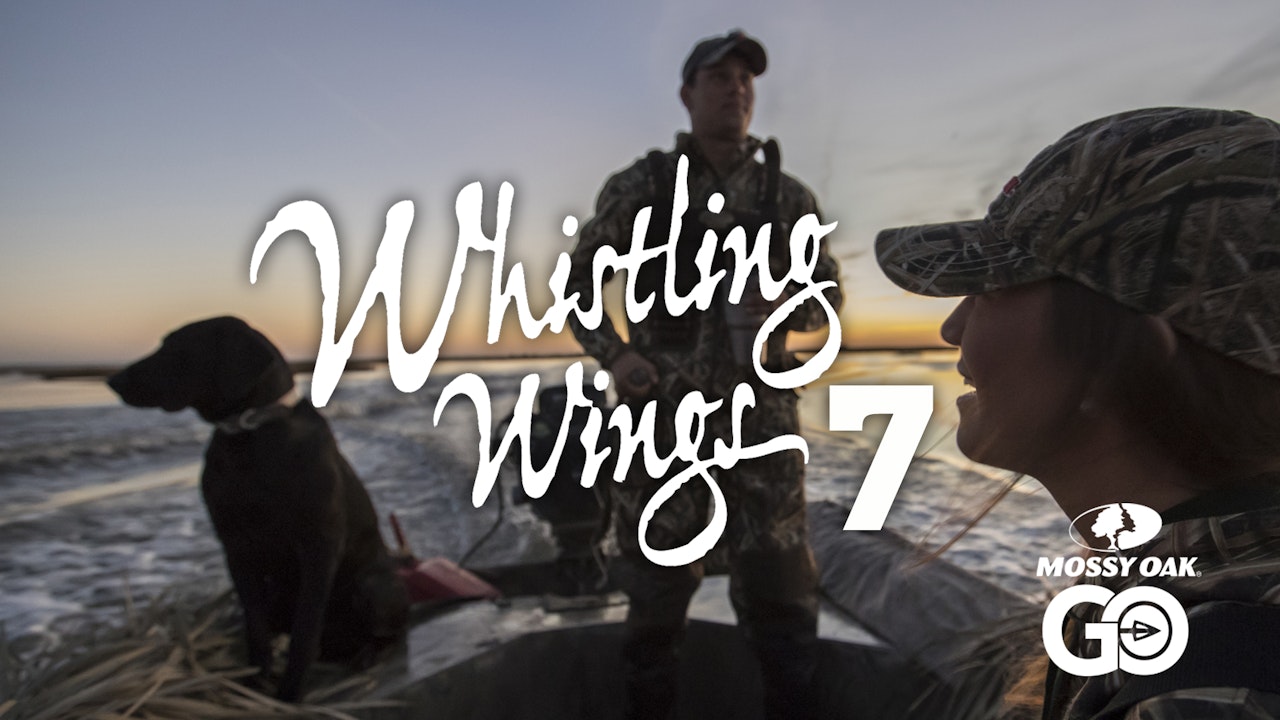 Whistling Wings 7
