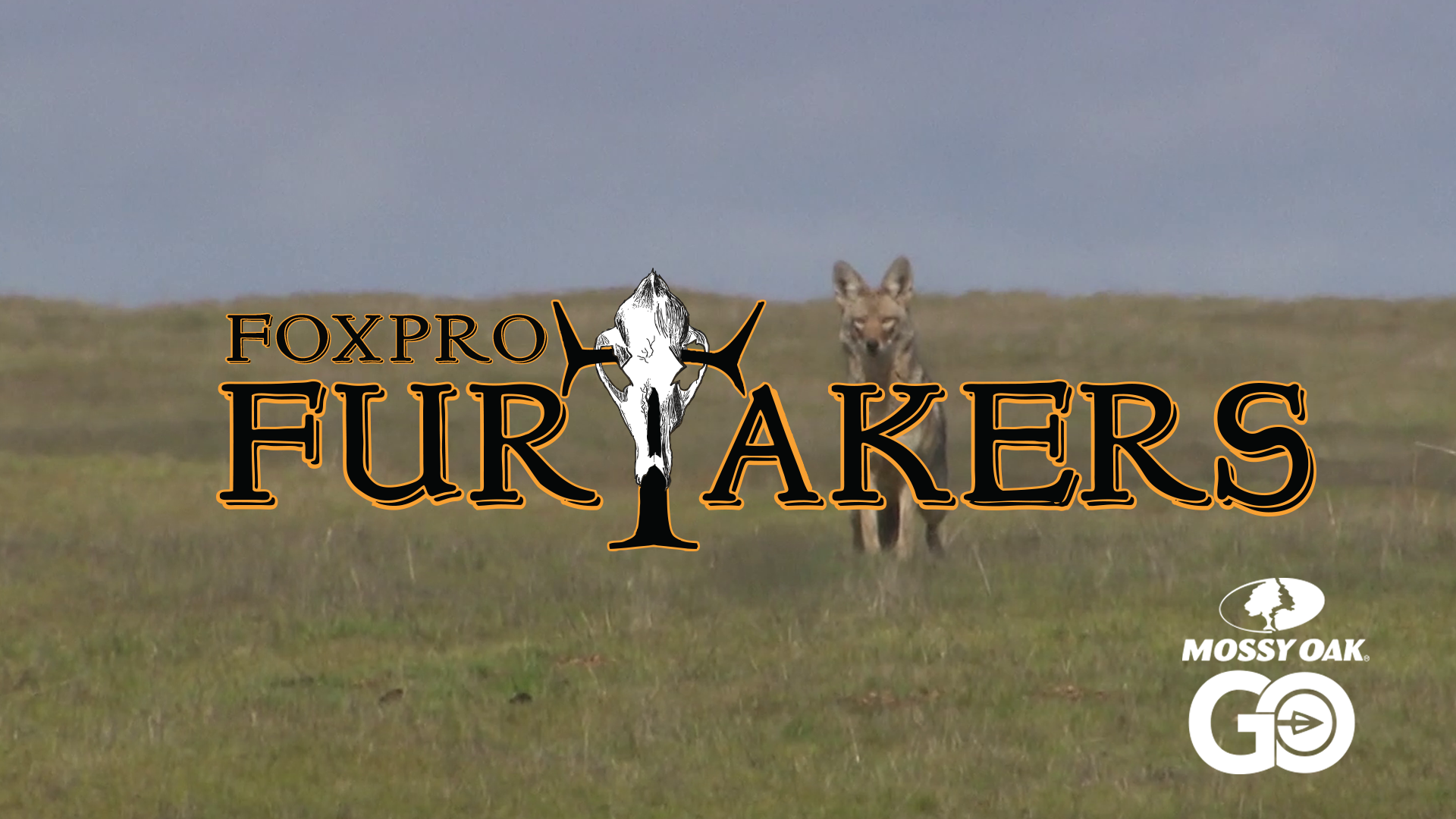 FOXPRO 1202 California • Furtakers