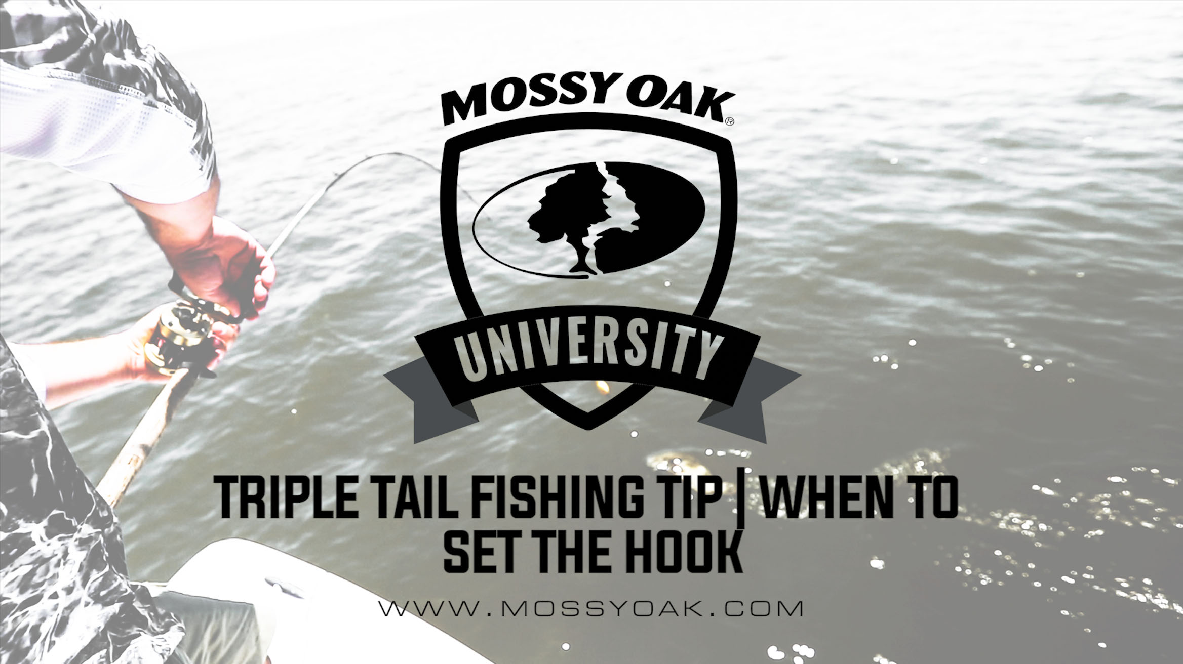Tripletail Fishing Tip • When to Set the Hook