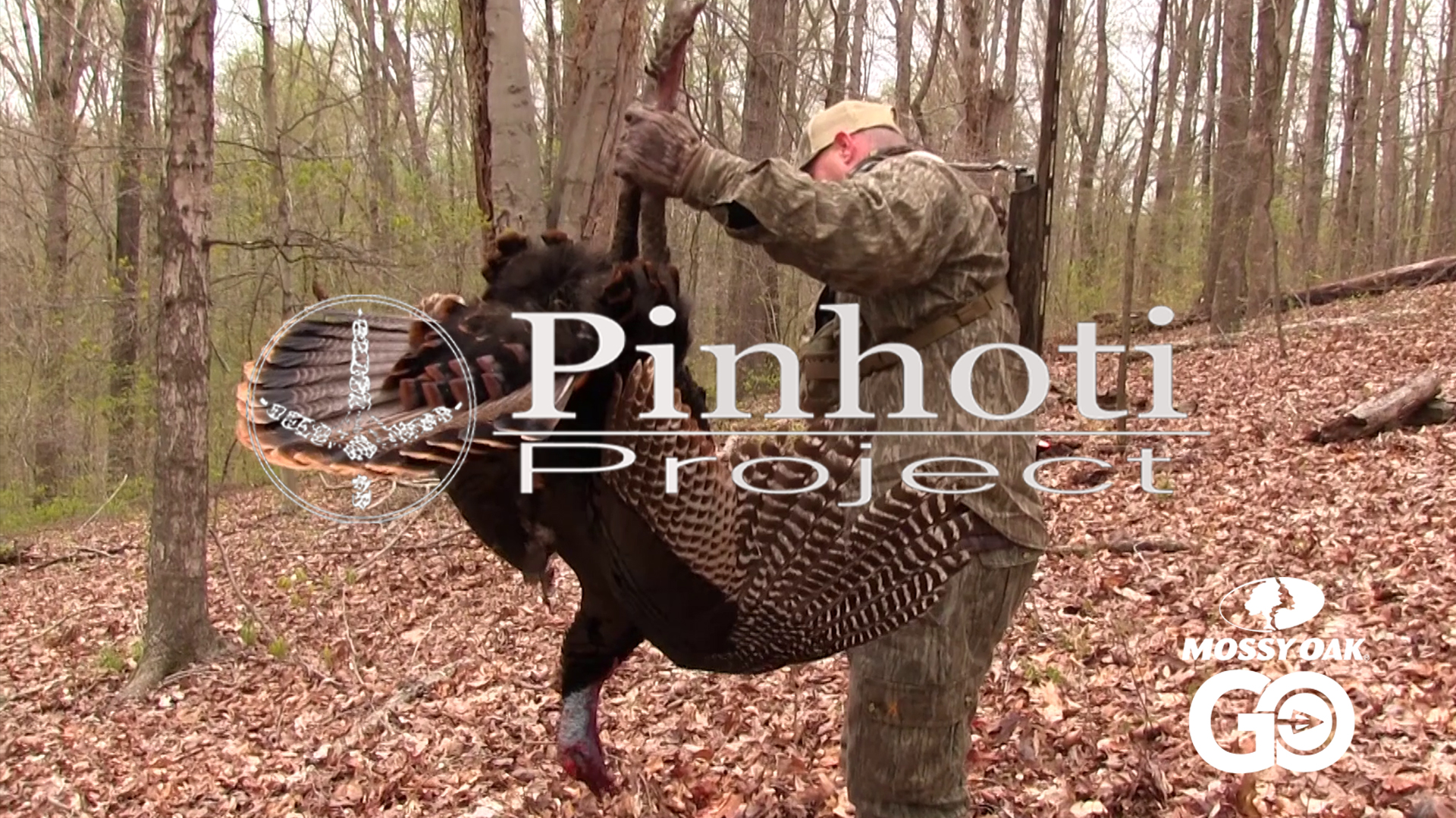 Real Turkey Hunting • Pinhoti Project Day 41