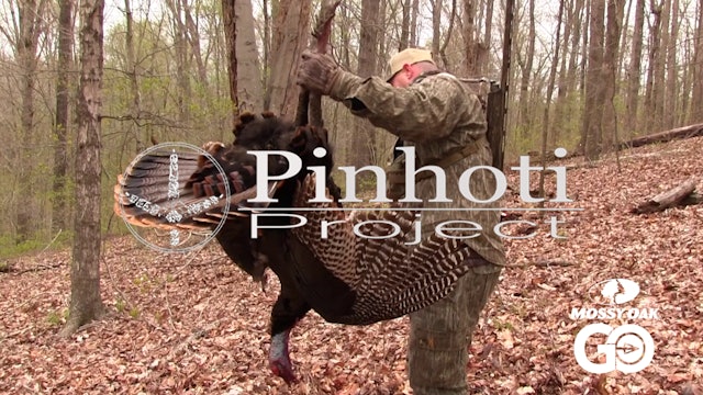 Real Turkey Hunting • Pinhoti Project Day 41
