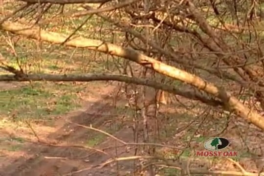 Closing the Gap • Family Business with Family Values