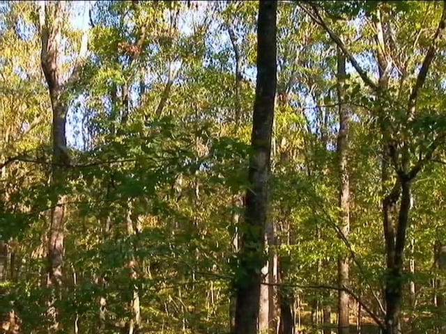 Stand Placement • All About Picking the Right Spot