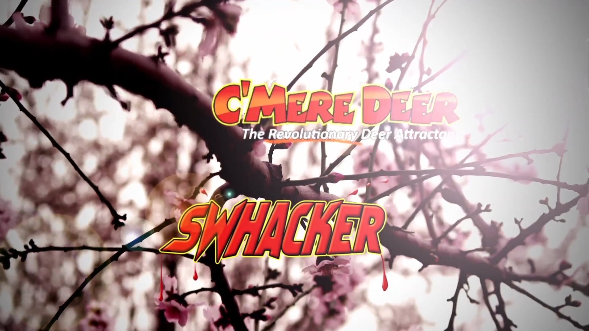 Little Turkeys, Part 1 • Kids and Gobblers in Texas